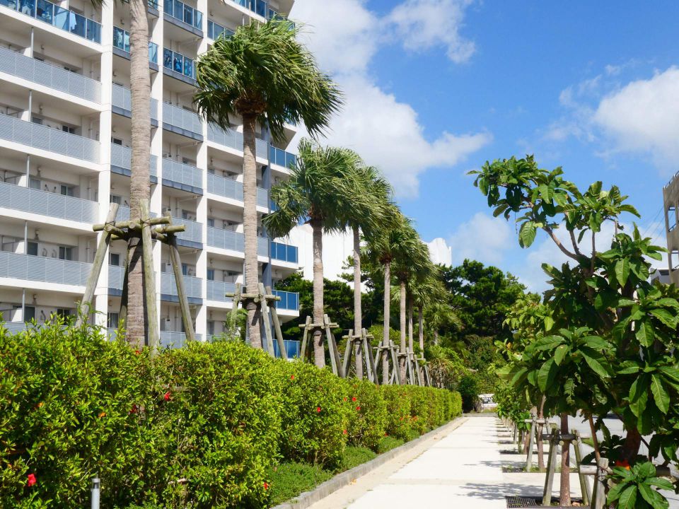 福岡の多彩な魅力と変化する土地価値を読む街と人が紡ぐ不動産の今後